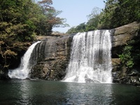 Discover paradise island - Sri Lanka on foot