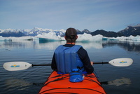 Alaska at 50