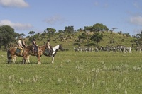 Africa's newest - Zambia's only...