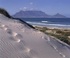 The right time for travel in Africa