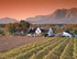 Affordable Cape Town 