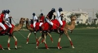 Anyone for Camel Polo?