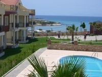 Artemis Travel spreads a little sunshine