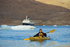 Cruise Canada’s Northwest Passage