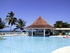 Back to nature in Tobago 