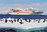 Witness life awaken in the Antarctic