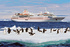 Witness life awaken in the Antarctic 