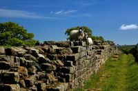 Its lambing time in Hadrian’s Wall Country