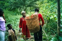 New ecotours offer a taste of rural Kenya