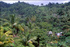 Discover Dominica