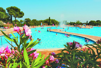 Celebrate summer with Eurocamp