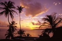 Travel to Tobago for less