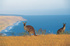 Discover Oz with Pure Luxury Holidays