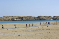 Run like an Egyptian 