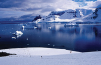 Icebreaking savings on Antarctic cruises