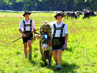 Explore the Alps and experience traditions alive