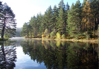 Surviving the wild – Unusual holidays