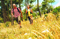 Take a walk on the wild side with Eurocamp