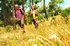 Take a walk on the wild side with Eurocamp