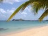 Book early for a Caribbean cracker 