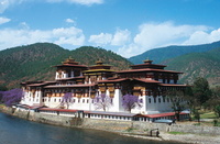 Discover the biological treasure trove of the Eastern Himalaya
