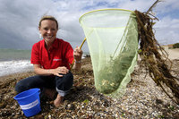 Selsey Bill tops list of top beachcombing beaches