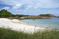 Go wild on the Isles of Scilly