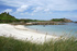Go wild on the Isles of Scilly
