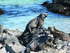 Explore the wonderland of the Galapagos