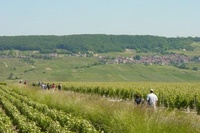 Wine ace to lead exclusive ‘Grape Escapes’ tour