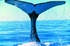 Luxury for less along Australia’s humpback highway