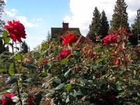 Rose Gardens become world class attraction