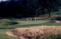 Get into the swing - The U.S. Open