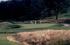 Oakmont
