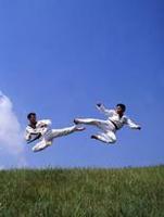 Taekwondo programmes for Korean tourists