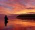 Pure Luxury New Zealand