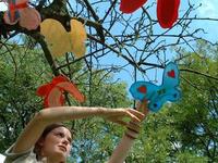 Summer fun at Bolton Museums