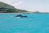 Whale Watching 