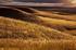 Kansas Prairie 