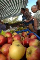 South Somerset Food Festival