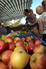 South Somerset Food Festival