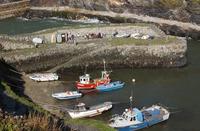 Boscastle hosts first walking festival