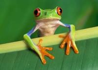 Aquarium welcomes tongue flicking new arrivals!