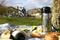 On your bike for a Gastronomic tour of South Somerset