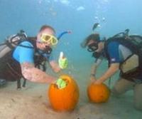 Key Largo hosts underwater pumpkin carving contest 