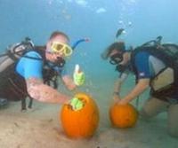 Key Largo hosts underwater pumpkin carving contest Key Largo hosts underwater pumpkin carving contest