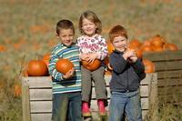 A pumpkin paradise this autumn