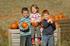 A pumpkin paradise this autumn 
