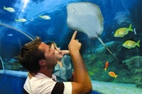 Blue Reef Aquarium unveils £1m regeneration