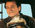 Groundhog Day  